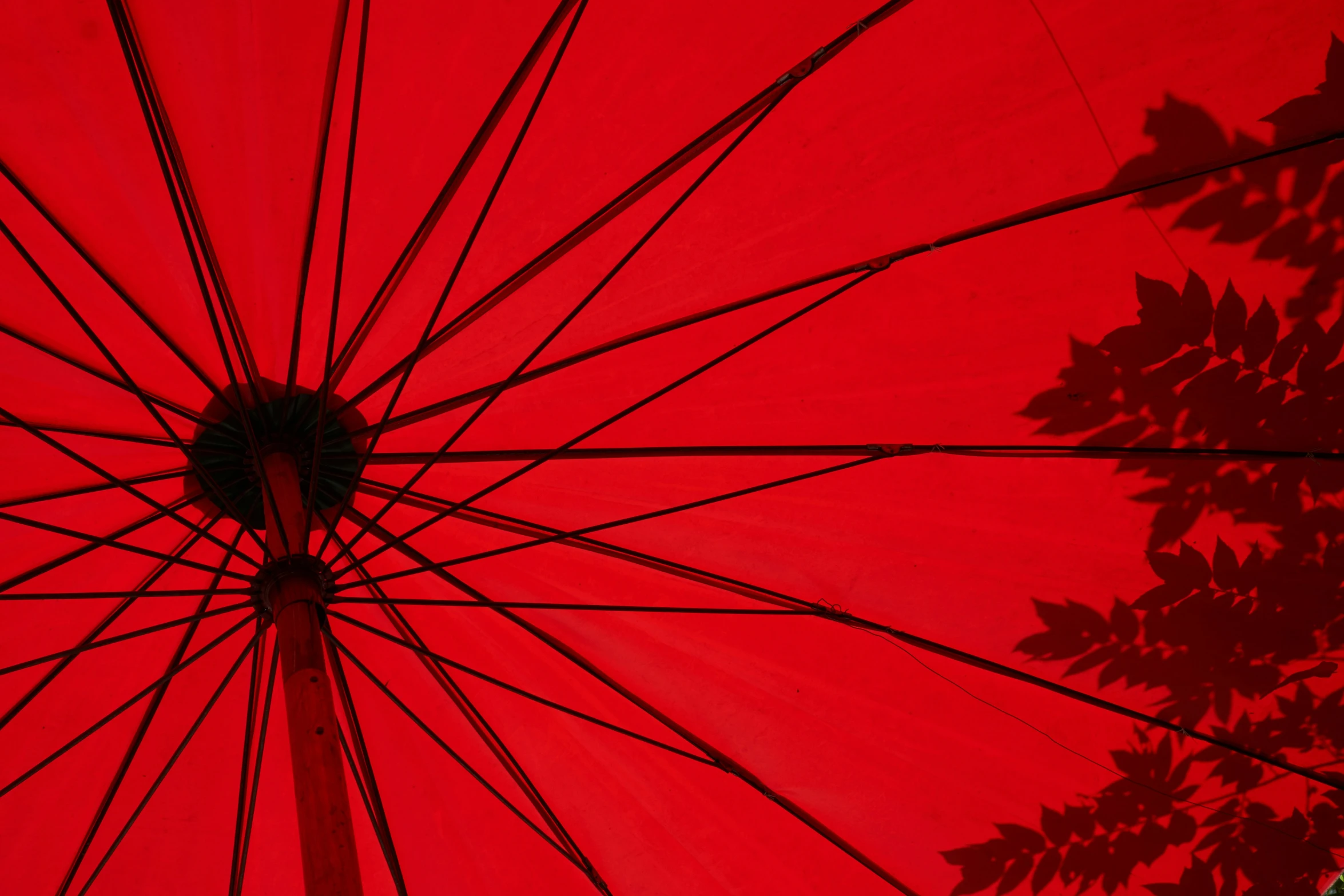 the top of an umbrella that is red