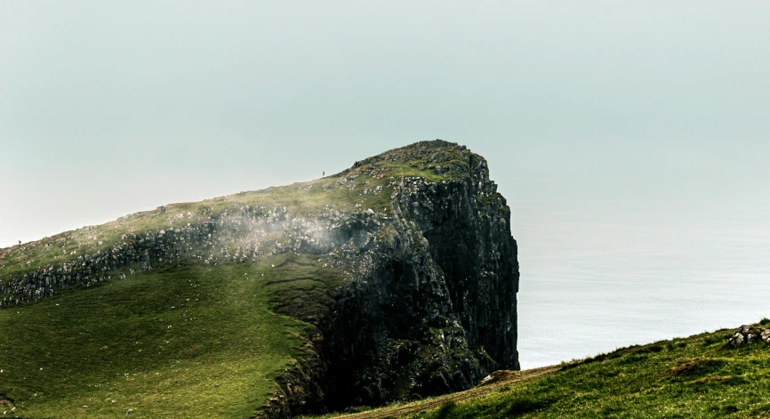 sheep on grassy hill overlooking ocean and cliff