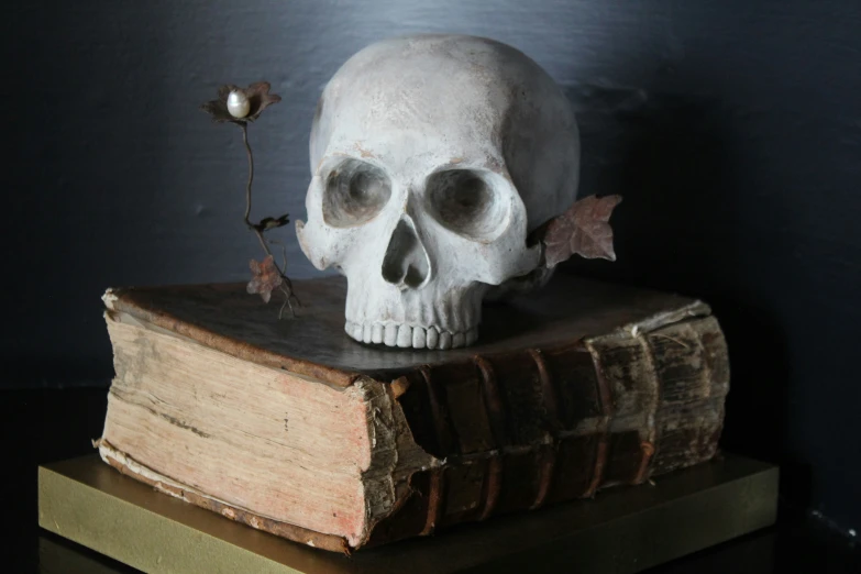 a skull resting on an old book with a flower