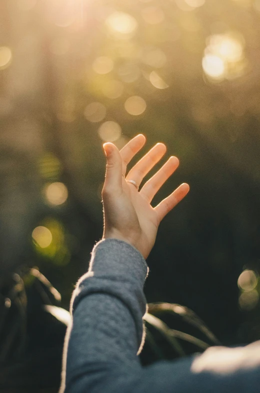 a hand reaching to grab soing while standing in the sunlight