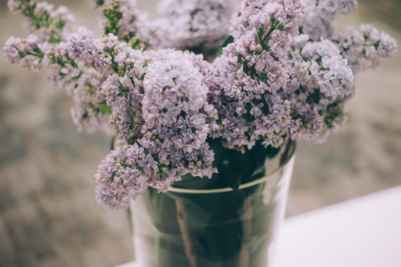 a vase filled with purple flowers on top of a table