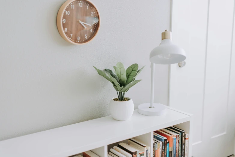 a room with books, a clock and a plant