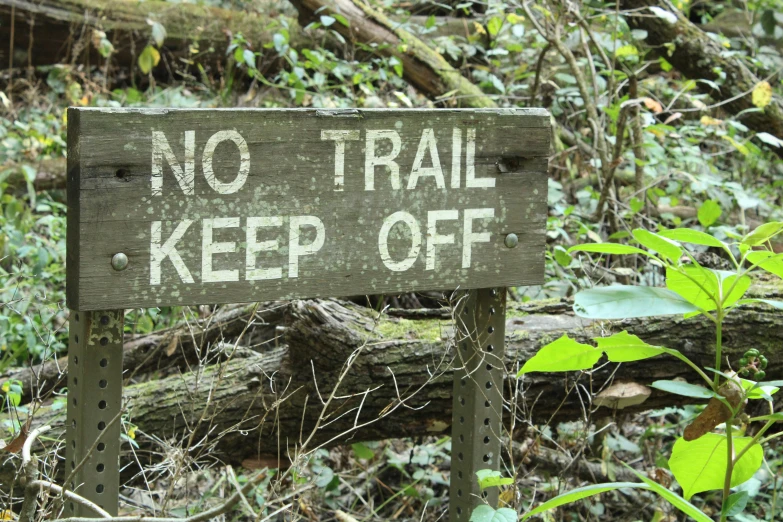 an old sign pointing the direction to the trail