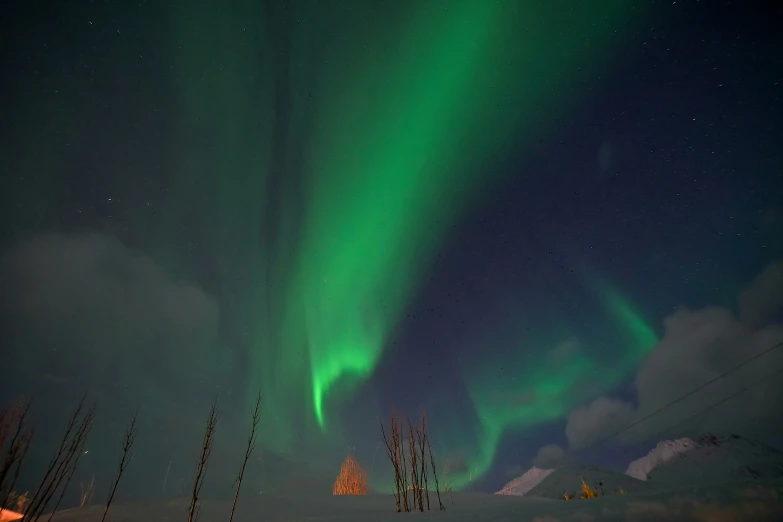 a green aurora bore that is shining in the sky