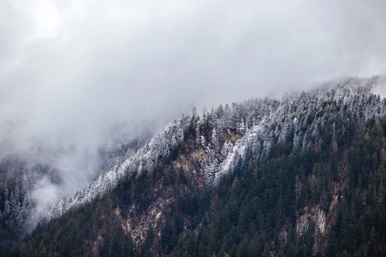 a snow covered mountain side, with trees below