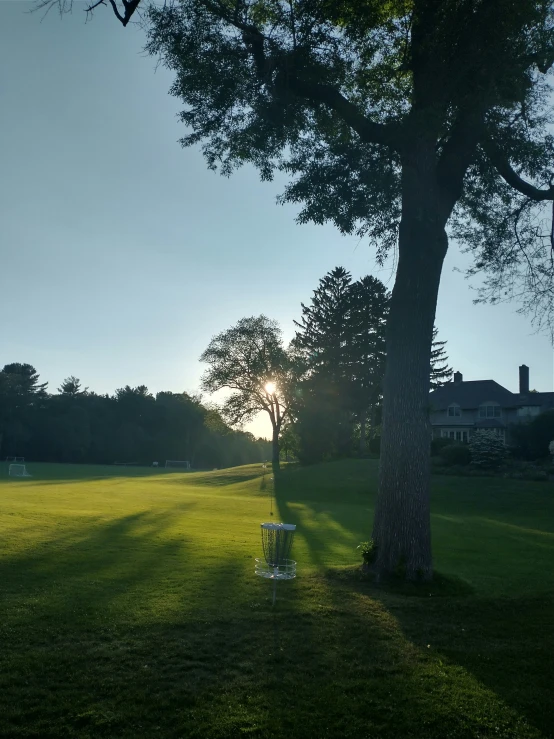 a grass park with a tree and bench at dusk