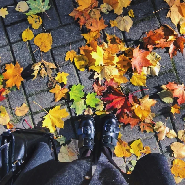 someone standing on the ground with a pair of shoes in front of some leaves