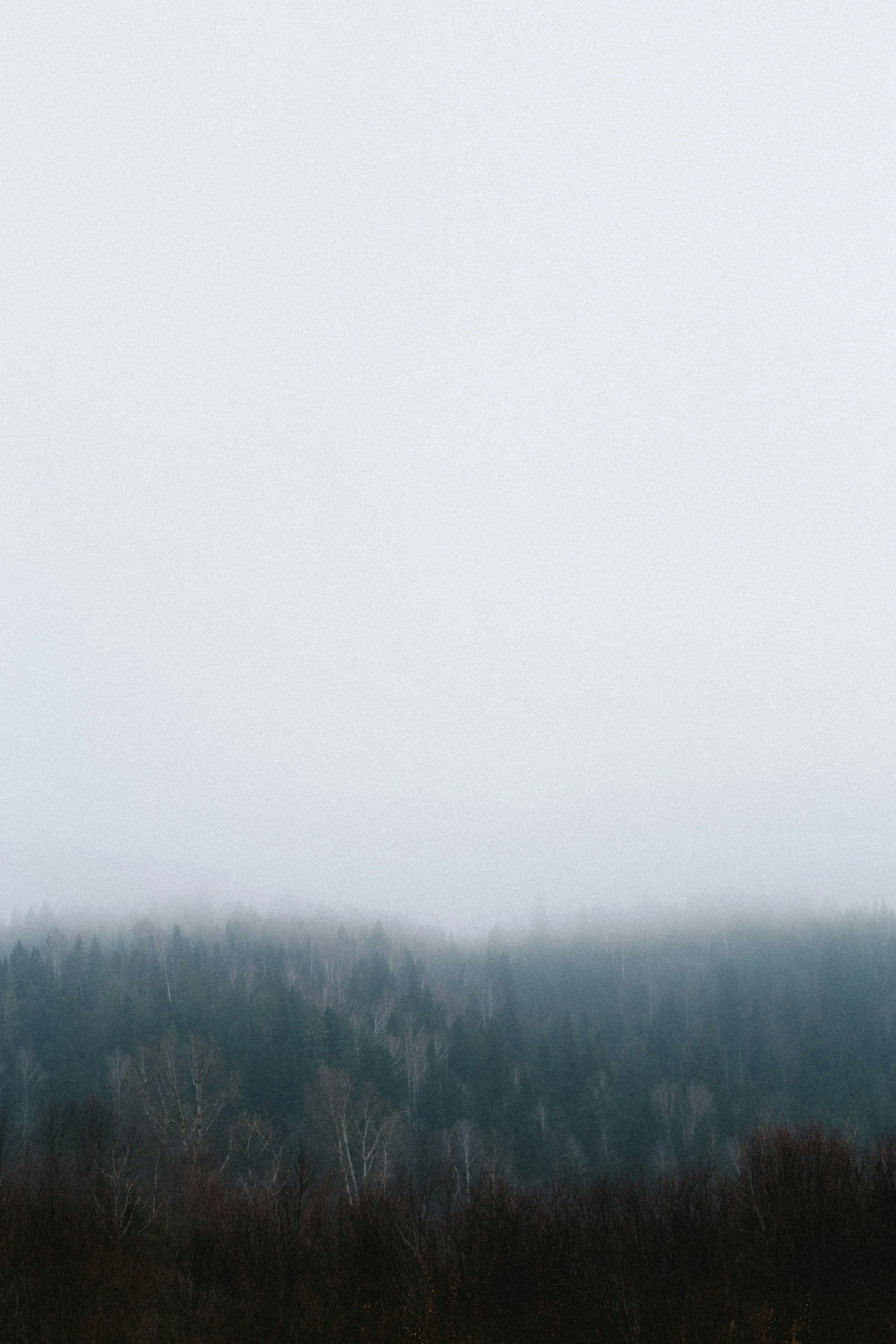 an umbrella is standing alone in a field