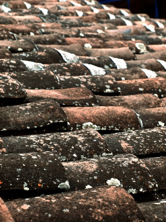 several different sized roof tiles with white sprinkles