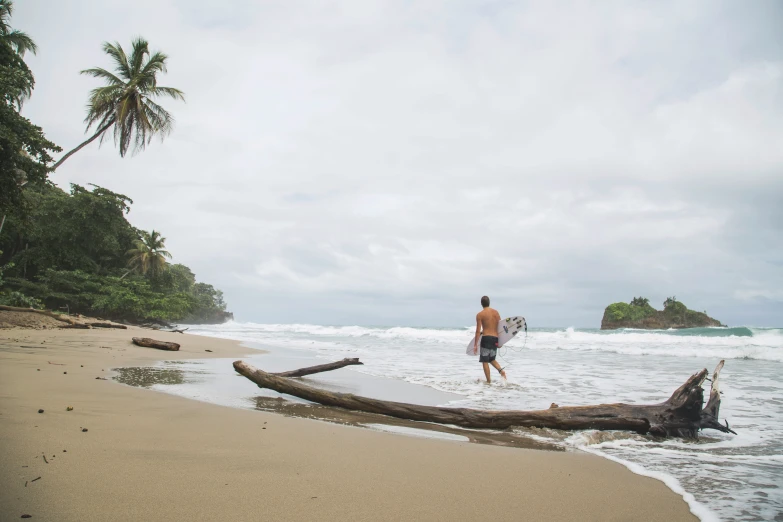 a man walking along the shore near a log