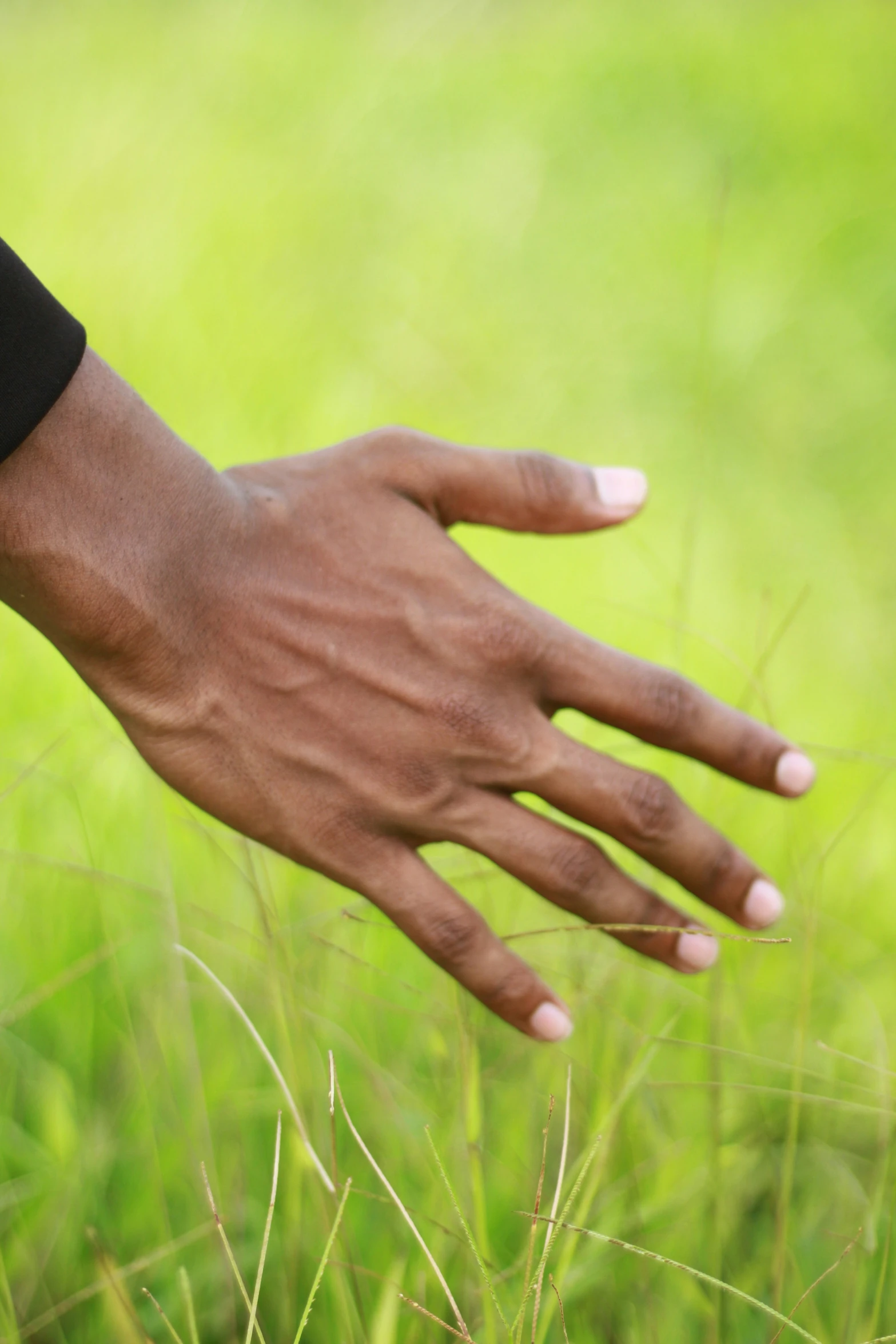 the hand is reaching for the green grass