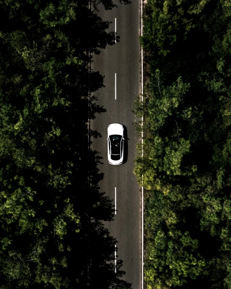 a white car driving down a tree lined road