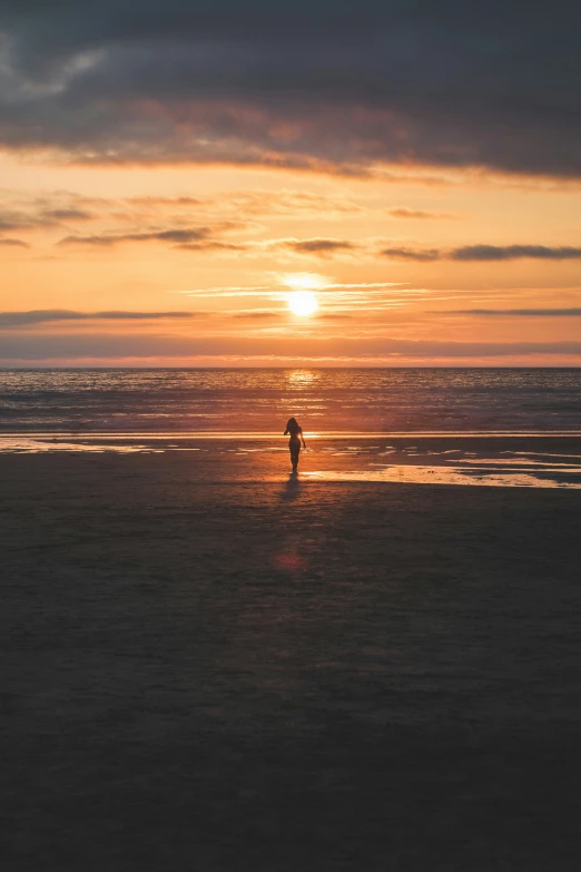 a person walking on the beach with the sun shining