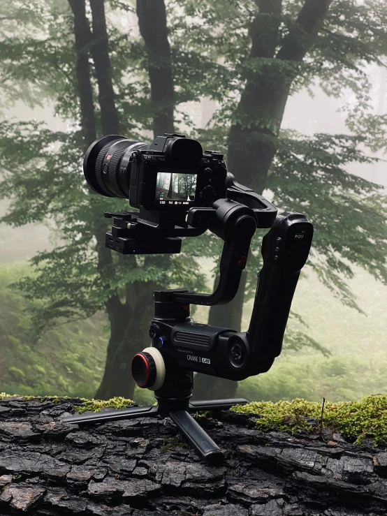 the camera is on a tripod on a misty day