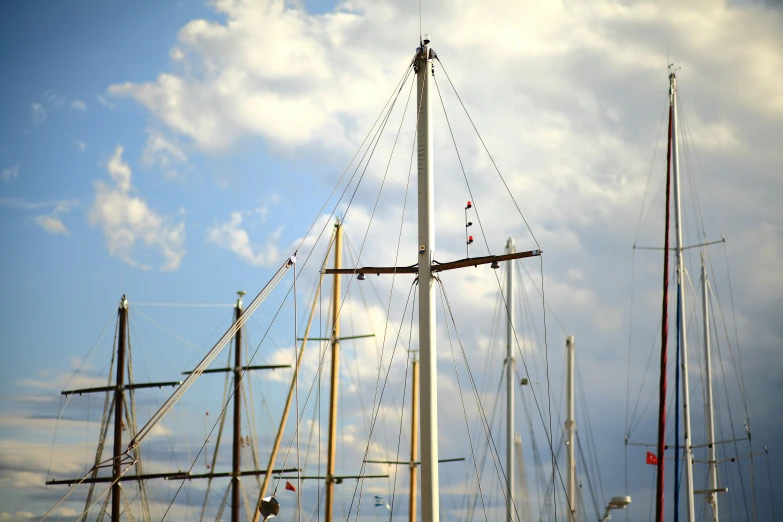 boats are all in the same row with one mast