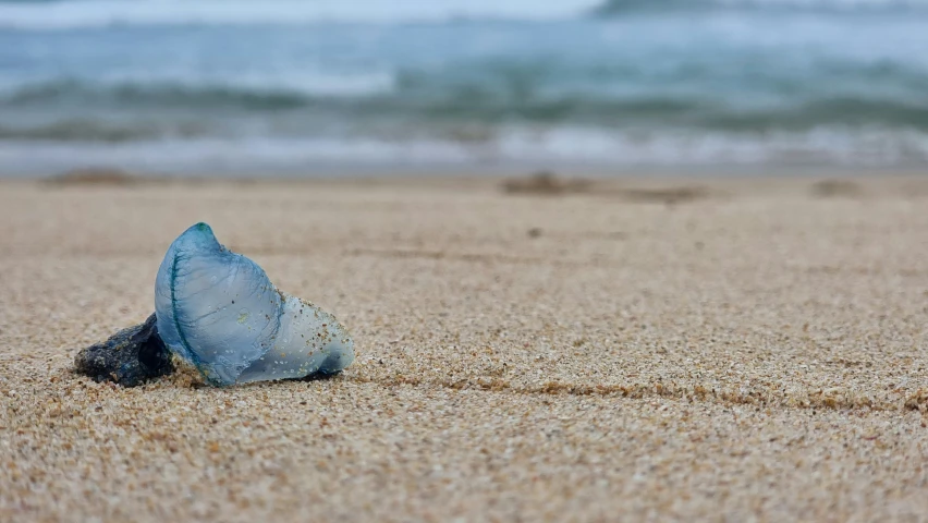 a blue bottle is sitting in the sand