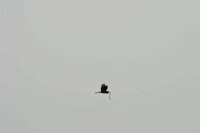 a sky view with a kite in the middle of the sky