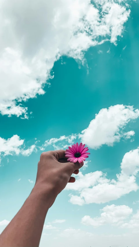 the hand holding a purple flower is reaching up to a cloudy sky