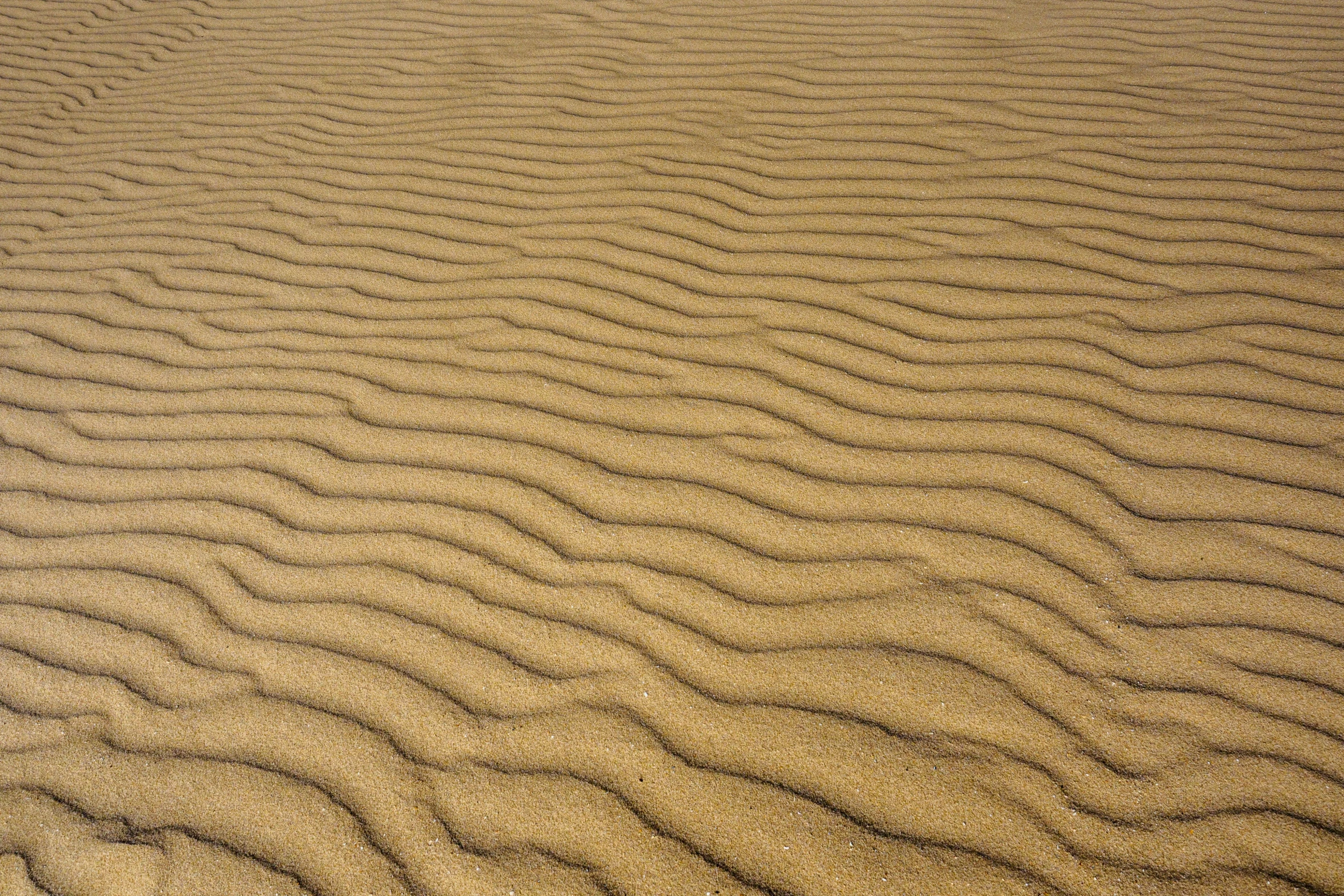 sand swirled from a distance with a small patch of grass growing