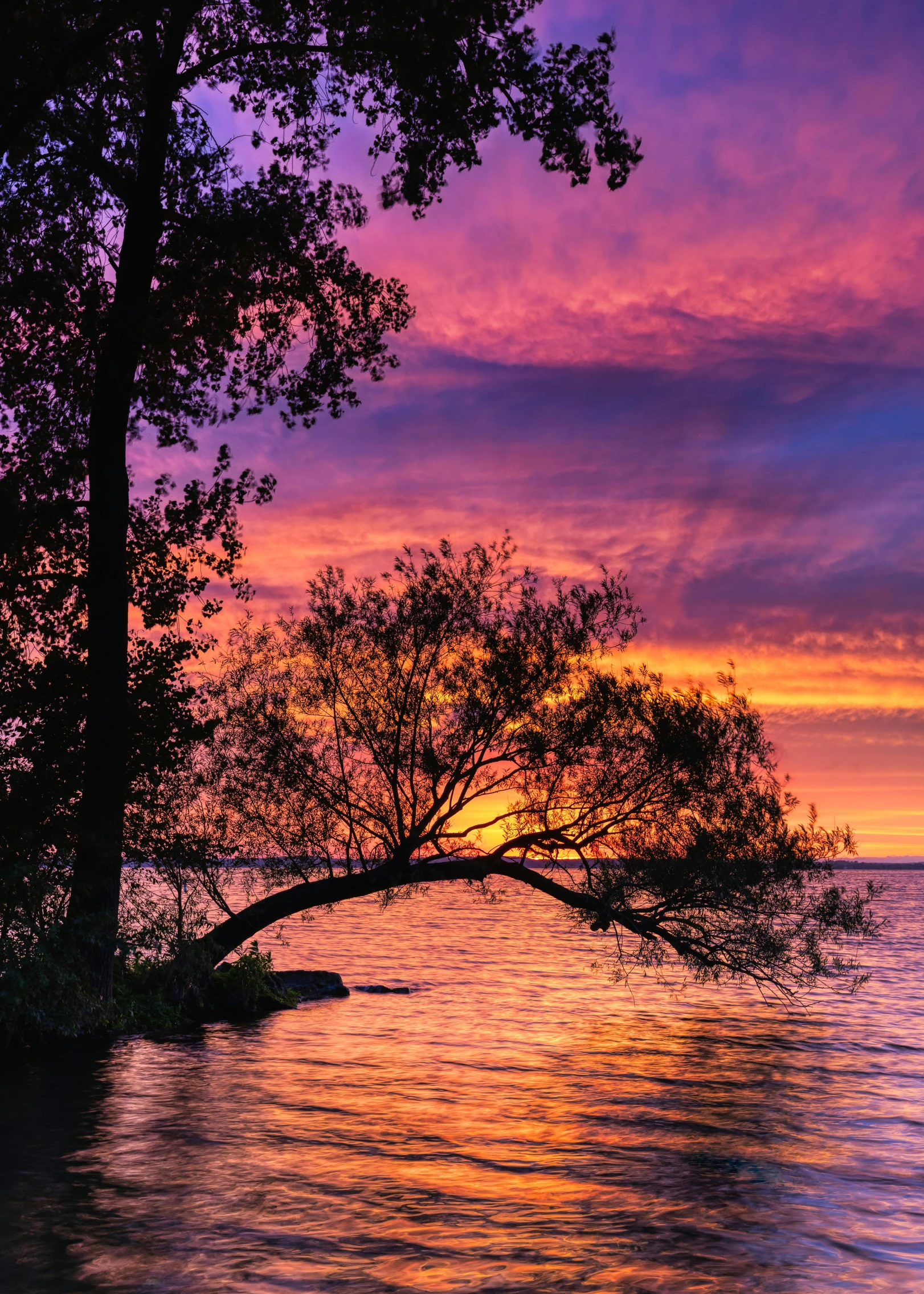 the sunset reflecting the sky and clouds with trees in the foreground