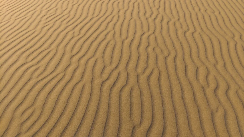 some sand and a tree in the distance