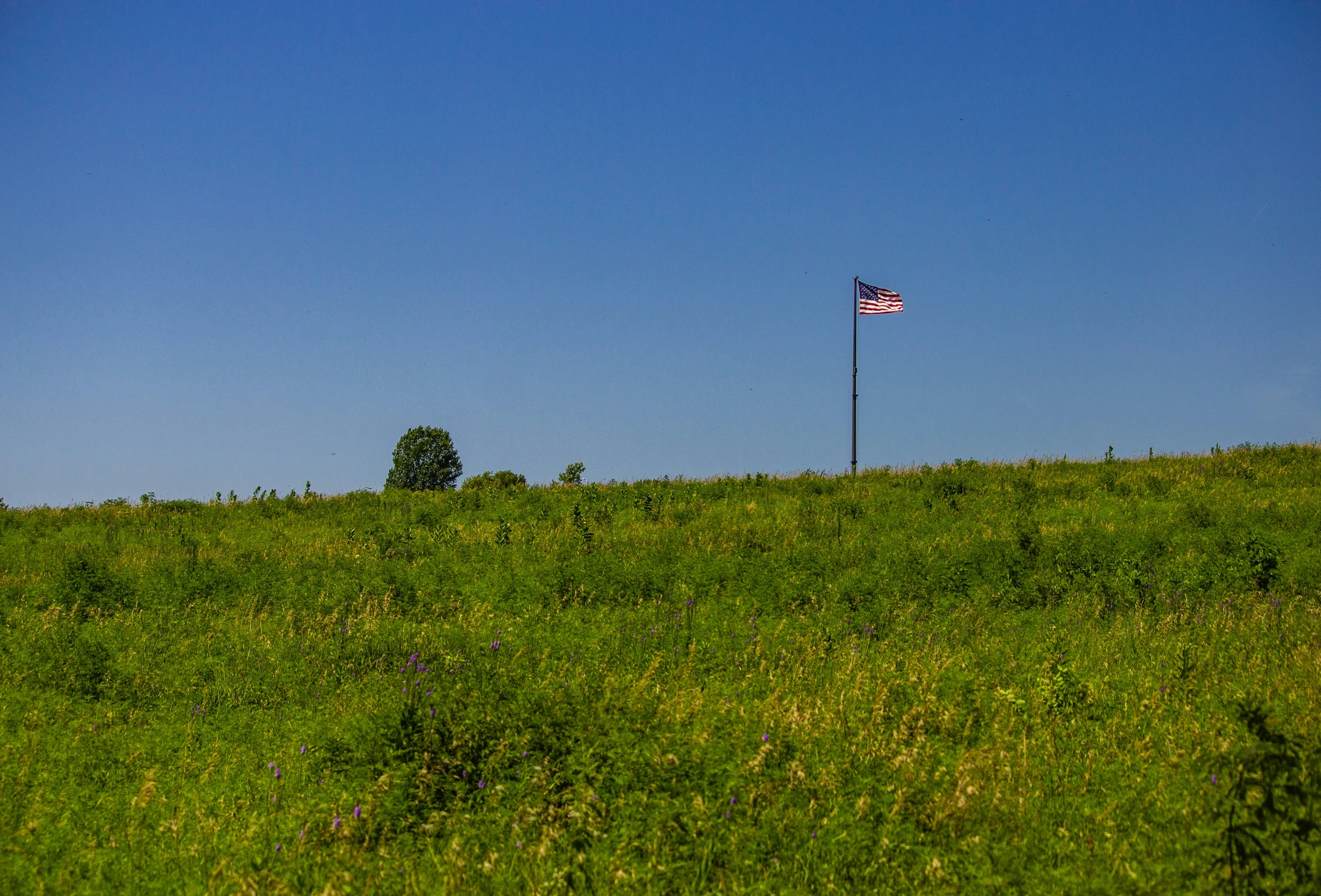 a small flagpole on the side of a hill