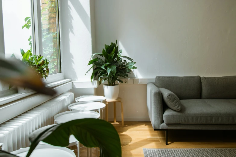 a room with a couch, chair and table near a window