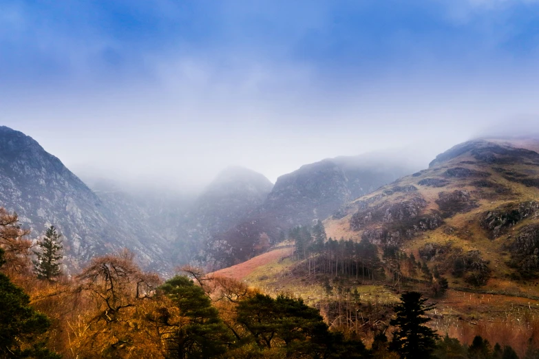 fog covers the mountains with trees and mountains