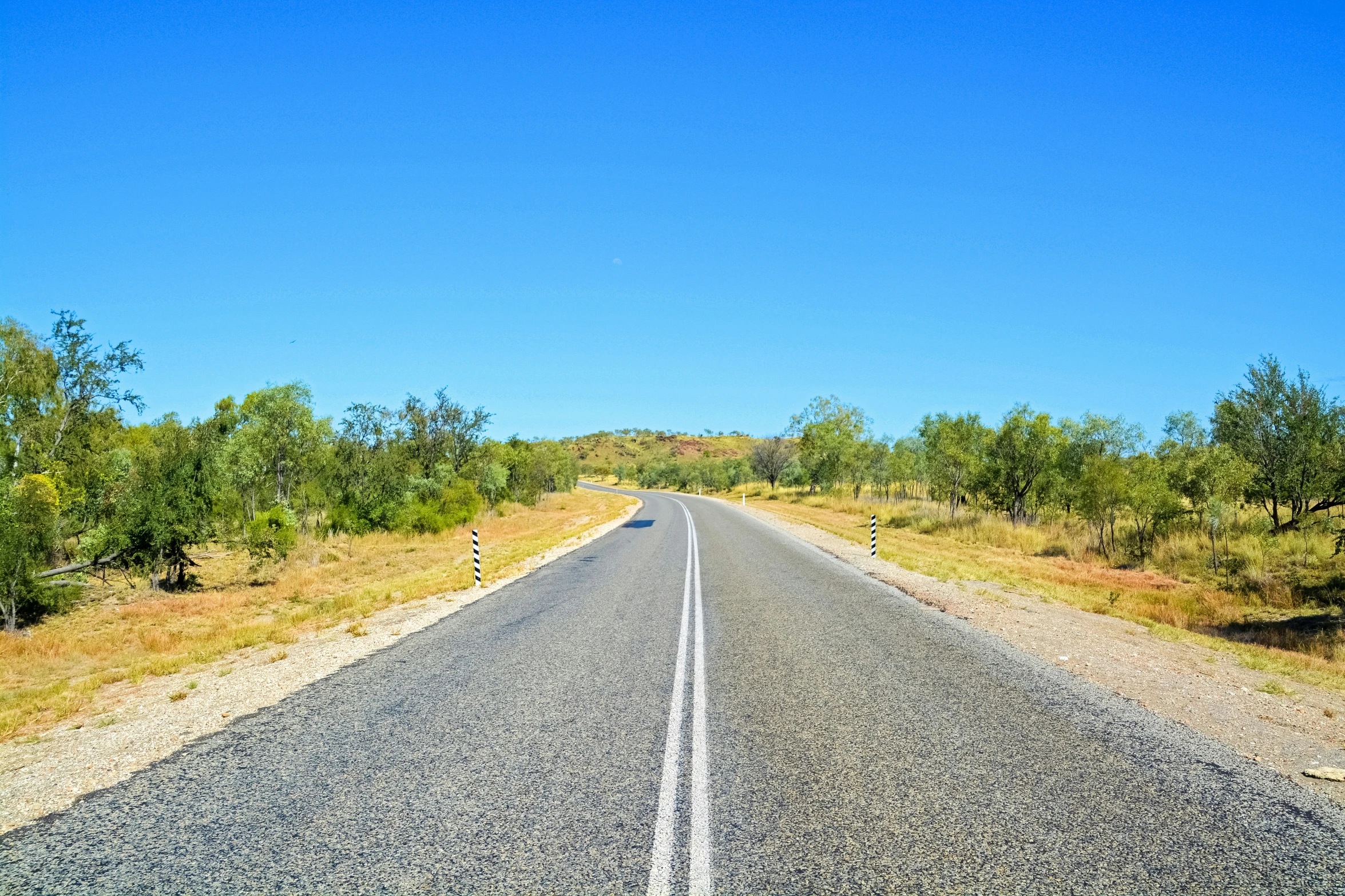 a highway going through some trees and dry grass