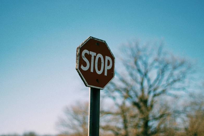 the stop sign is standing next to trees