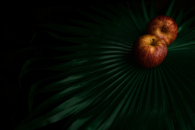 an apple is in the center of a palm leaf