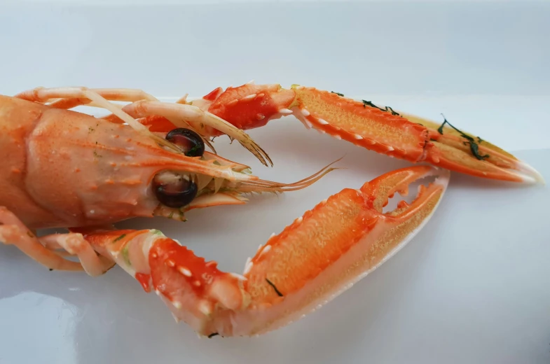 two cooked lobsters on a white plate