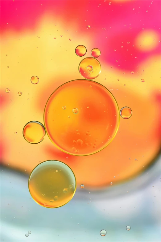 oil bubbles floating on the surface of a liquid