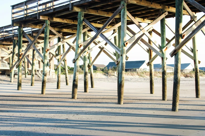 many wooden posts sticking out of the sand under a large overhang