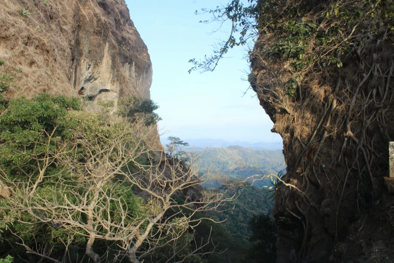 a very tall cliff overlooking the beautiful forest