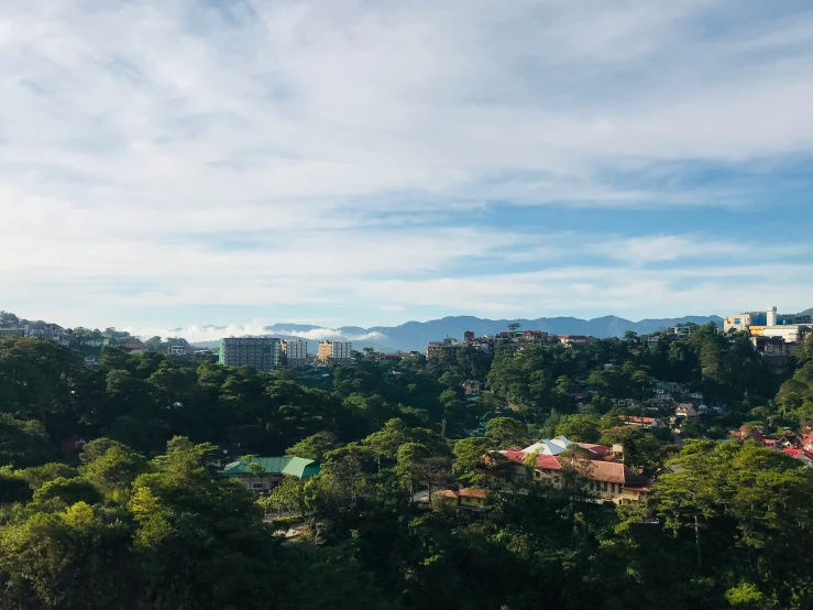 view of a hillside area with lush trees and buildings