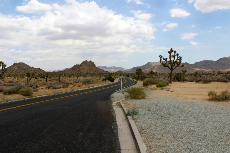 a long winding road with a cactus and mountain background