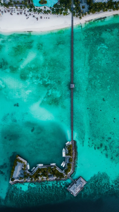 a bird's eye view of a beach, trees and water