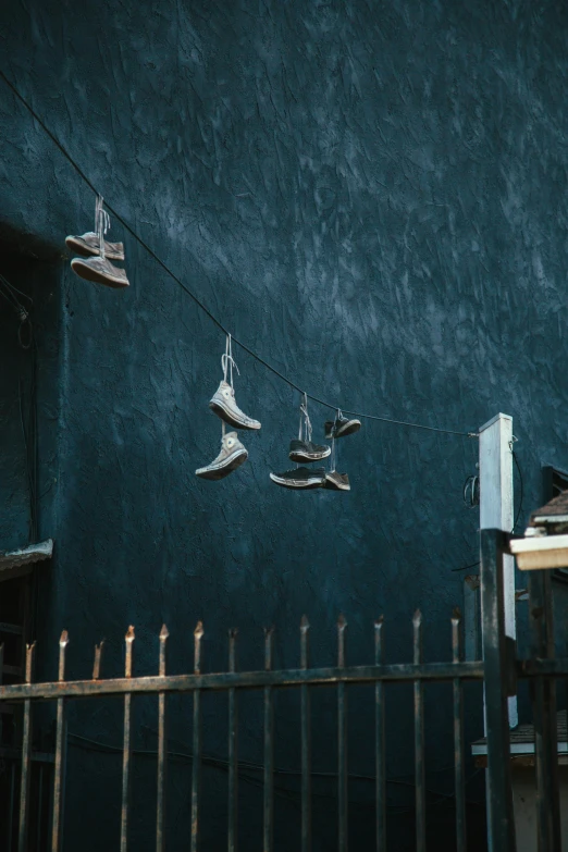 a couple of birds sitting on top of a string