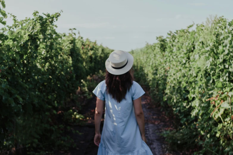 the woman walks alone through an orchard wearing a blue dress and hat