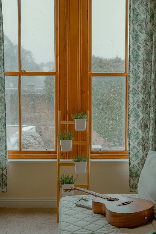 a guitar, potted plants and window with green ds