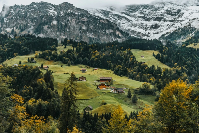 a grassy field that has mountains and trees with houses on it