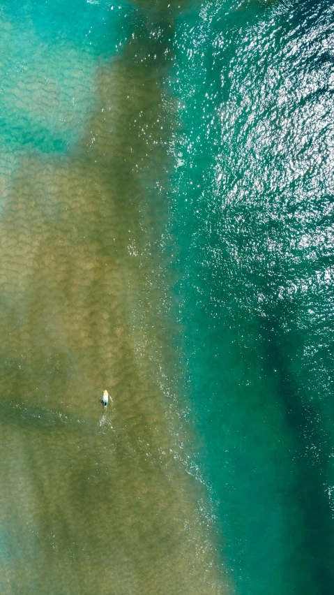 the water looks blue and green because of algae