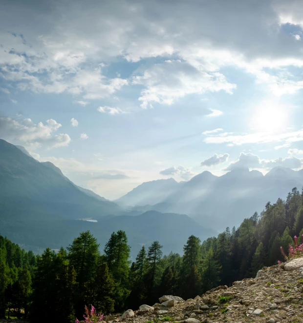 a mountain scene has a horse grazing in the distance