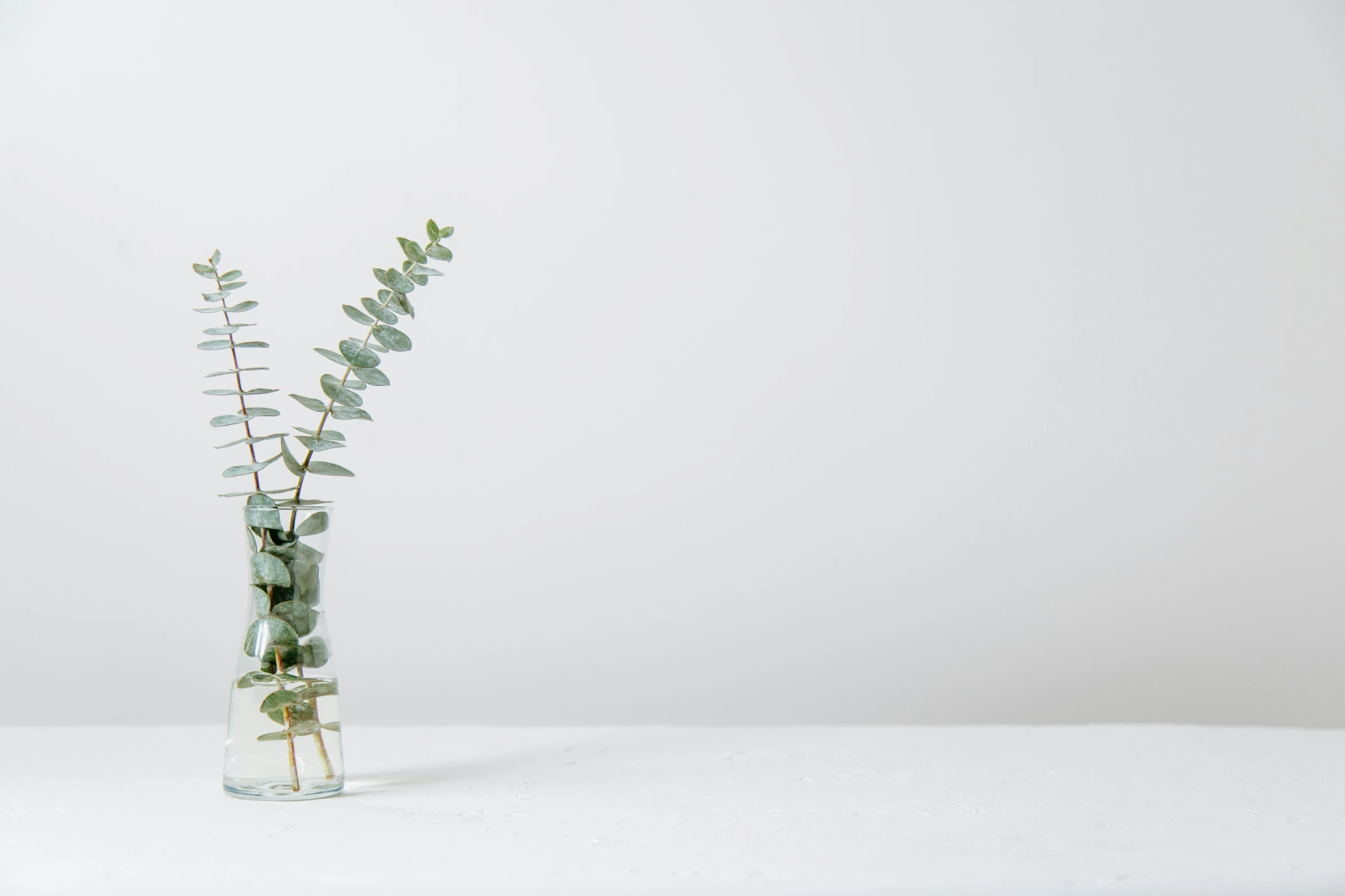 there is an arrangement of plants in the glass vase