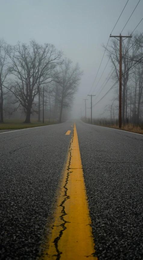 a empty street surrounded by fog and dry trees