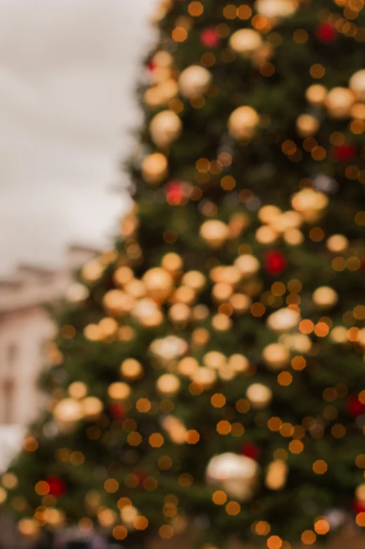 a lighted tree on a city street is displayed