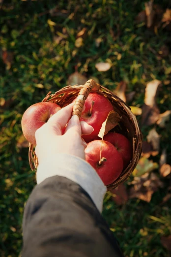 a person holding an apple in their hand