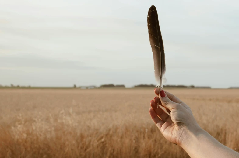 a person's hand holding an object with the sky in the background