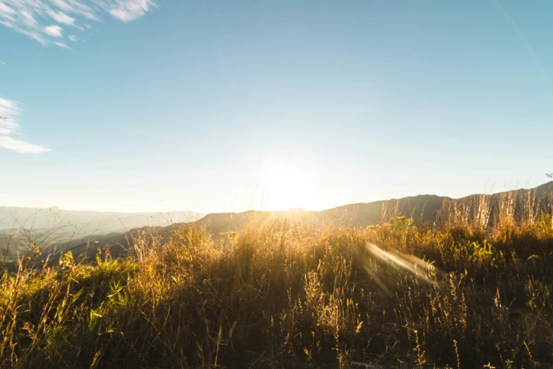 a hill with grass and a bright sun in the background